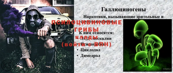 МДПВ Щёлкино