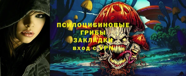 МДПВ Щёлкино
