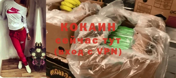 a pvp Щигры