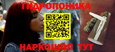 стафф Гусев
