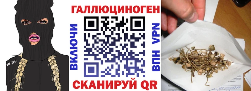 Галлюциногенные грибы GOLDEN TEACHER  Кемерово 
